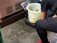 -鸿顺老铁锅美蛙鱼府(解放碑店)