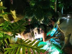 -恐龙探索乐园(磁器口店)