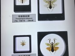 -上海昆虫博物馆