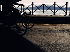 -丁香湖公园