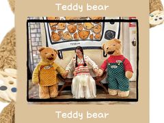 -济州岛泰迪熊博物馆