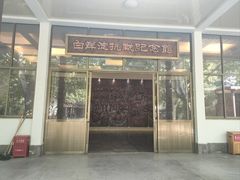 -白洋淀景区