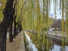 -元大都城垣遗址公园