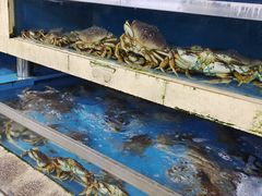 水产区-京深海鲜市场(光彩路店)
