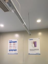 -碧莲盛·不剃发植发