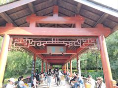 -重庆彩云湖湿地公园