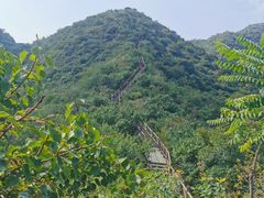 -大岭沟猕猴桃谷风景区