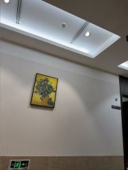 -上海薇琳医疗美容医院