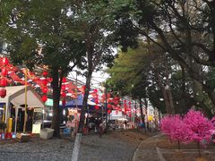 -顺峰山公园