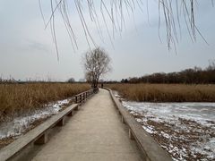 -绿堤公园