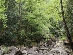 -花岩国家森林公园