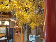 -大江户·温泉洗浴(浑南店)