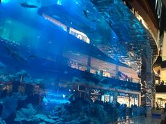 -迪拜水族馆及水下动物园