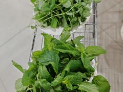 豌豆尖-朝伟清真铜瓢牛肉馆(三十年老·店)