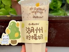 -猫的魔法密林(衣裳街店)