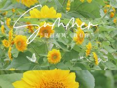 -国际非物质文化遗产博览园