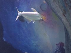 -常州海昌海洋探索馆