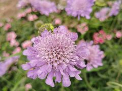 -云峰山自然风景区
