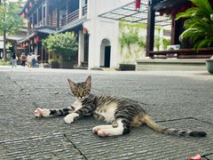 -香积寺