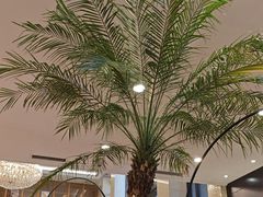 -逸派咖啡 EPARKCOFFEE(广安门店)