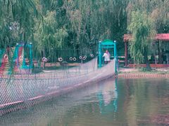 -白洋淀景区