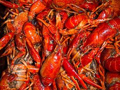 -江城燕子大排档(江汉路步行街店)