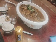 -邵年鸽(杨庄店)