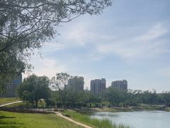 -仕奇公园