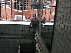 -广州白云广雅实验学校