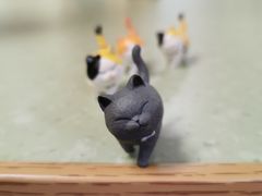 -猫和宫(六道口店)