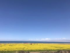 -青海湖国家重点风景名胜区