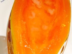 木瓜炖雪蛤-领鲜活海鲜榴莲自助火锅(东门店)