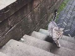 -无锡惠山寺