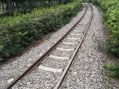 -西青郊野公园