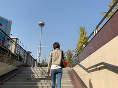 -丁老爷子苏香圆