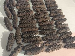 -宫品海参专卖店(黄浦老西门店)
