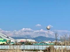 -都江堰中华大熊猫苑