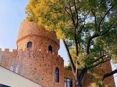 -J Create城市露营咖啡·简餐·宠物(上海动物园店)