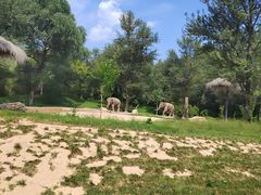 -北京野生动物园