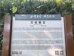 -张坝桂圆林公园
