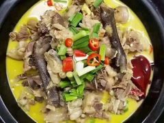 -天鹅到家·保姆月嫂育儿嫂(天河店)