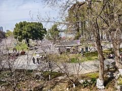 -南京城墙景区