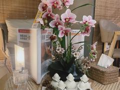 -施奈儿.洗头頭療.按摩SPA.采耳(上梅林店)