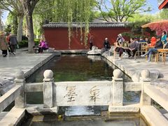 -百脉泉景区