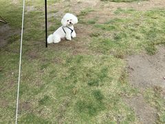 -春花秋色城市公园