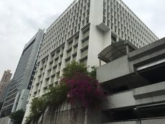 -香港大学