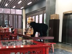大堂-傣家黑山羊汤锅(告庄店)