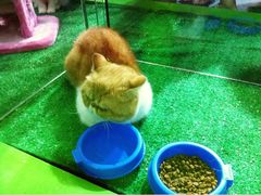 iphone_upload_pic-东浩兰生上海世博展览馆