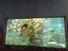 -芽庄珍珠岛游乐园