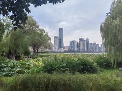 -金银湖国家城市湿地公园